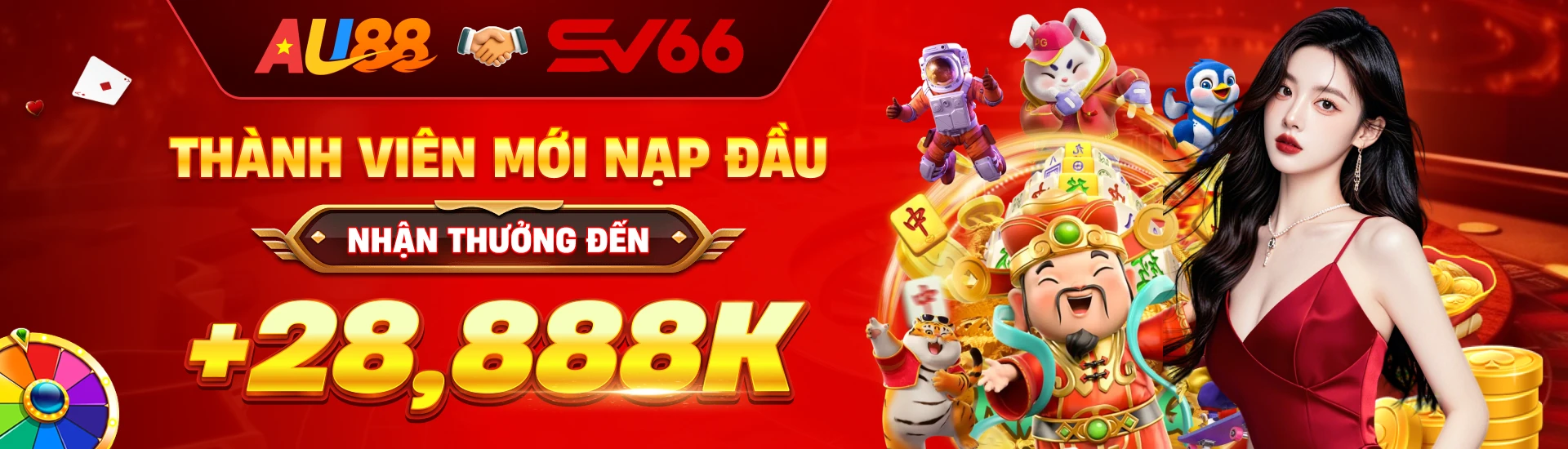 Banner sv66